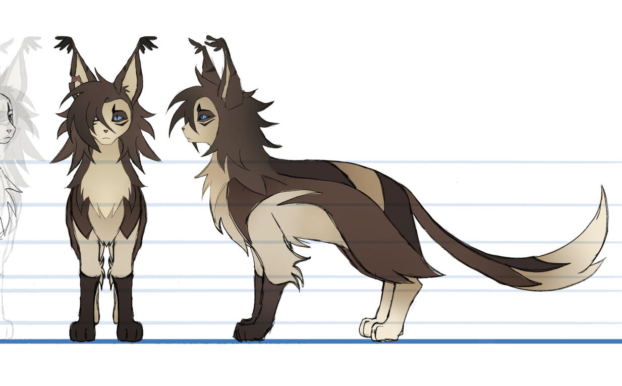 Feline Turnaround
