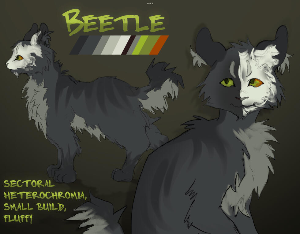 Feline Reference