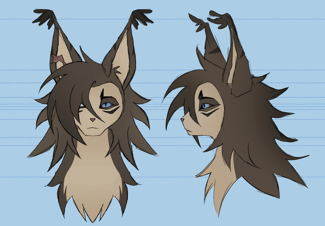 Profile Turnaround