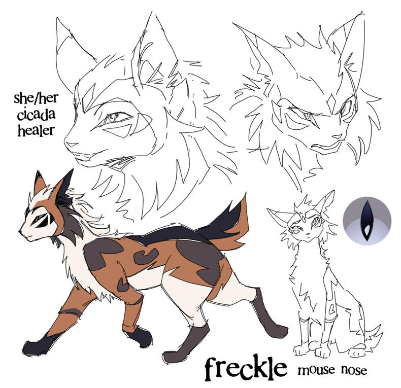 Feline Concept
