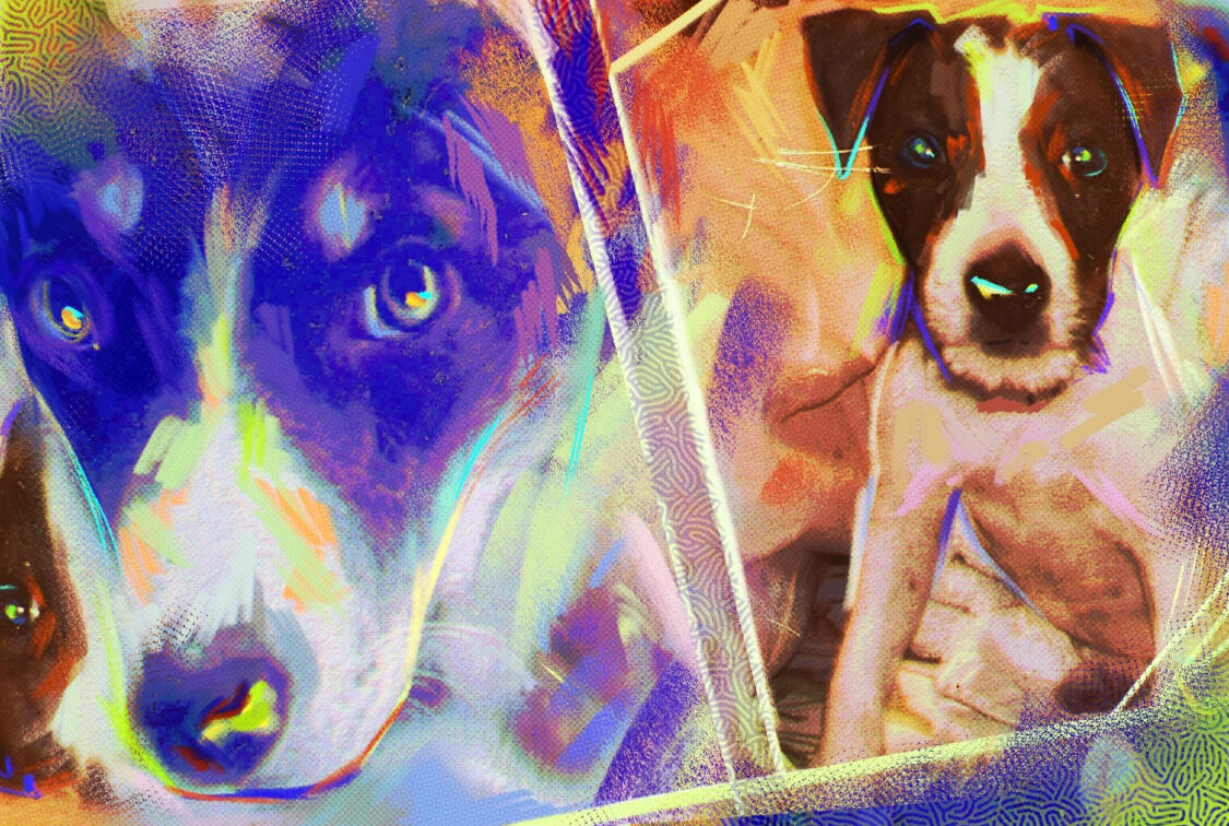 Kids' best friend