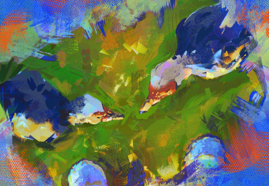 Ducks at the lake